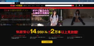 Hey動画（月額見放題プラン）の口コミ│料金・退会方法・請求名・セキュリティまとめ